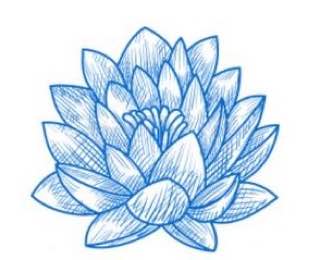 Tibetan Expert Logo